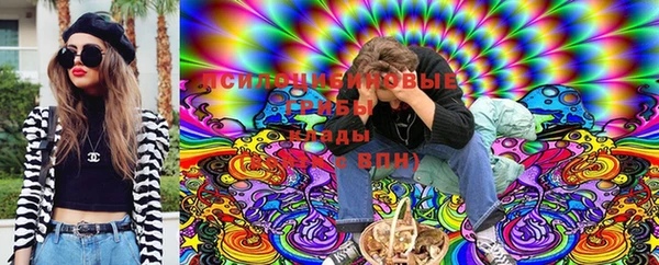 экстази Заводоуковск
