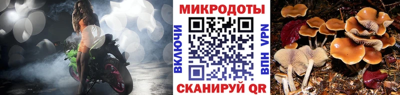 OMG как войти  Перевоз  Галлюциногенные грибы мицелий 
